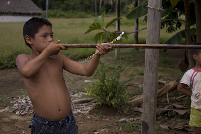 La cerbatana y el dardo envenenado