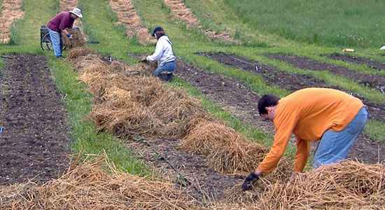 LVI, Debe ser la edad