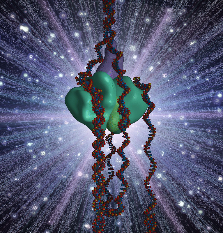 III, El origen de la vida