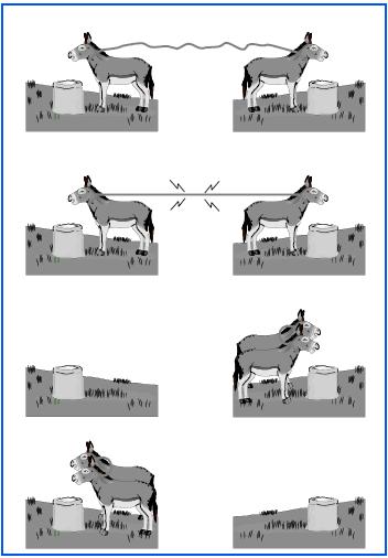 LXXXIV, Dos bonitas ideas