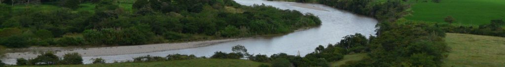 Mi negra en el linóleo, un ejercicio literario