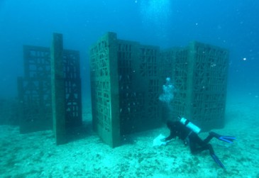 algas_cristina_iglesias