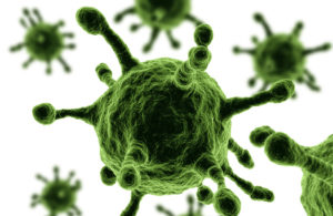 virus